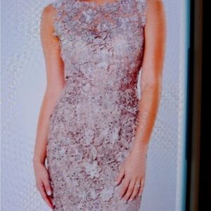 Mon Cheri Champagne Ombre Sheath Dress